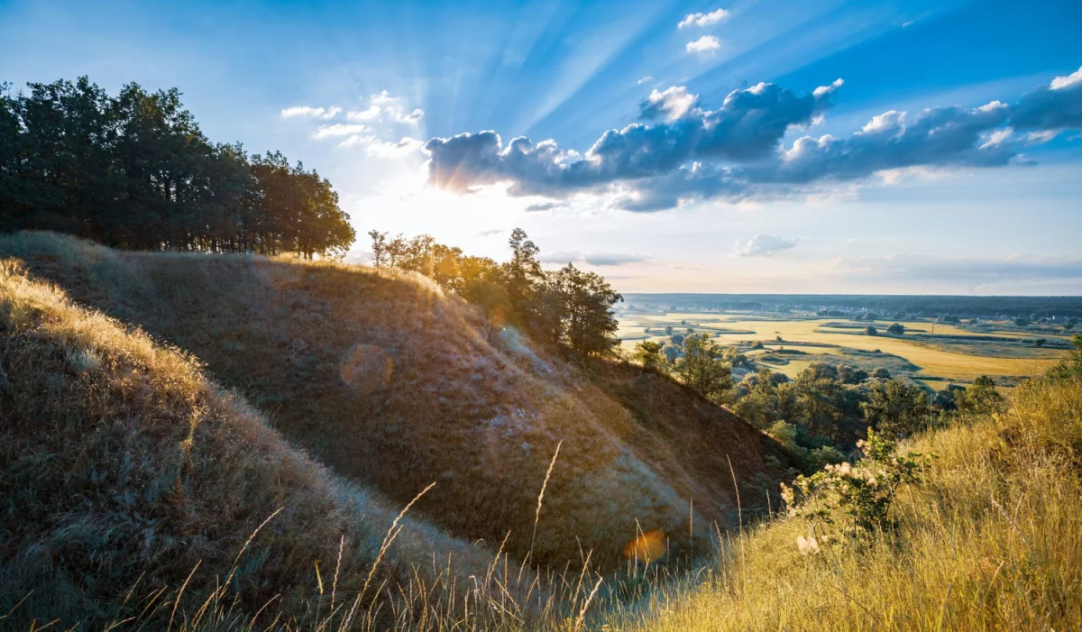 Czy można znaleźć kardiologa samemu?