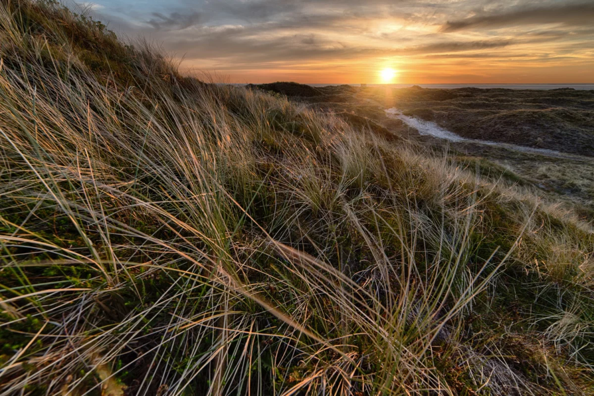 Ochrona środowiska dla firm: praktyczny przewodnik wdrożenia polityki, oszczędności i certyfikaty