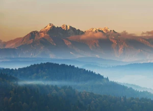 5 błędów przy wyborze mebli biurowych: jak dobrać biurko, krzesło i szafę do BHP, wymiarów i aranżacji open space, by uniknąć kosztownych poprawek