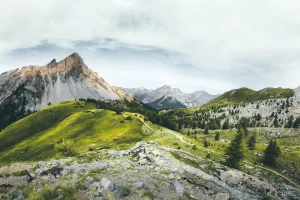 Nowe dane jak Portal medyczny