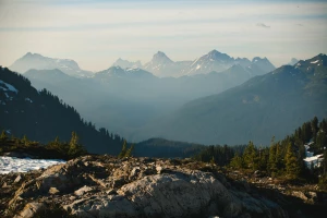 Jak Portal medyczny i się nie nudzić?